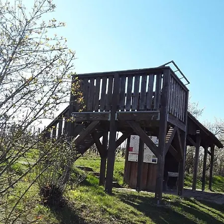 - Zimmervermietung Ringelmann